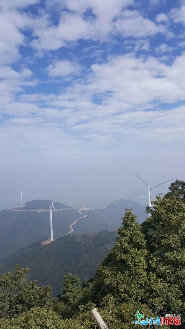 广东惠州盐洲岛，有山有海的小寡网白海岛，两天一夜吃...