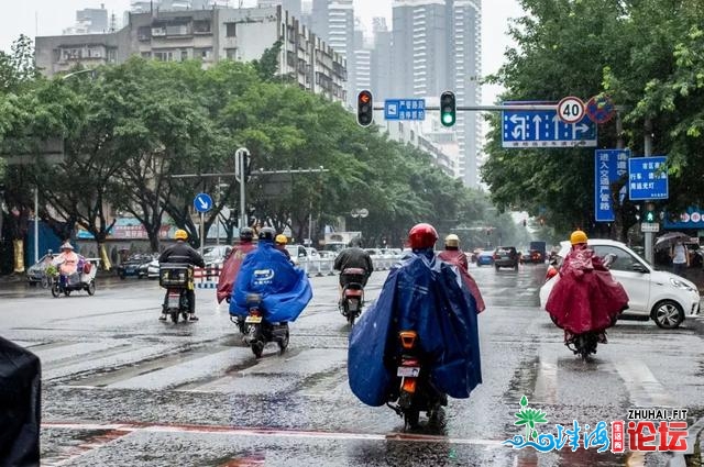 “浪卡”行将登岸！狂风雨即刻便到，明天上班赶快回家