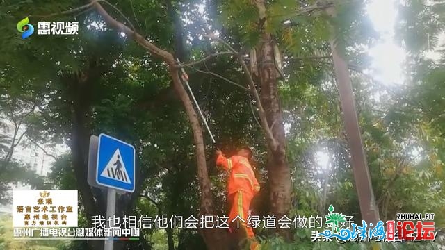 金江山绿讲：门路路灯受益多