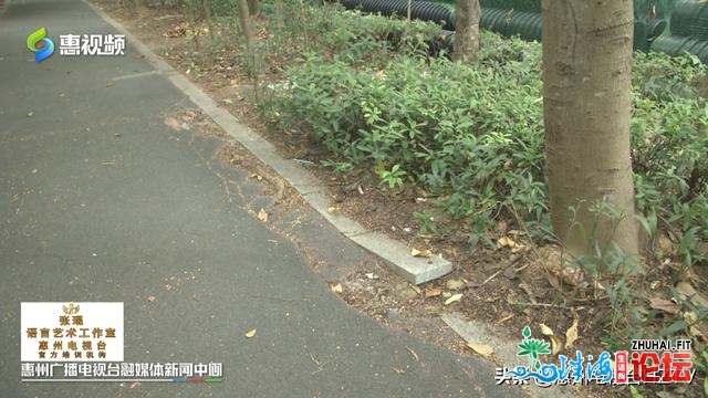 金江山绿讲：门路路灯受益多