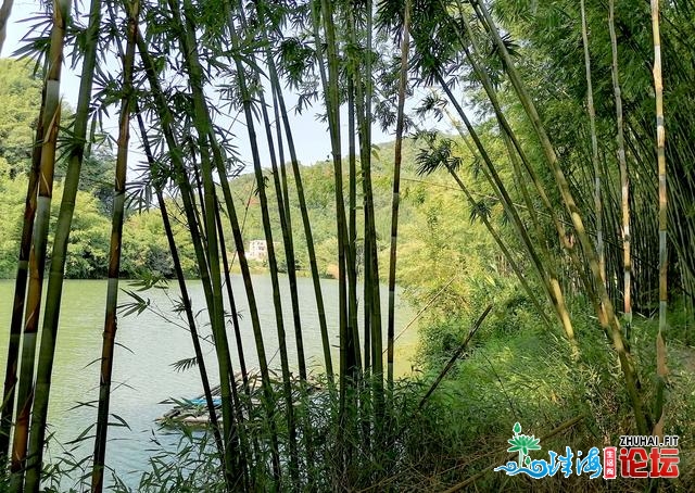 肇庆广宁——竹海年夜不雅、古火河光景区