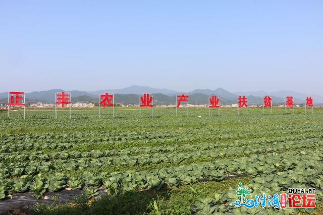 广西贺州正挨制年夜湾区“粤港澳菜篮子”