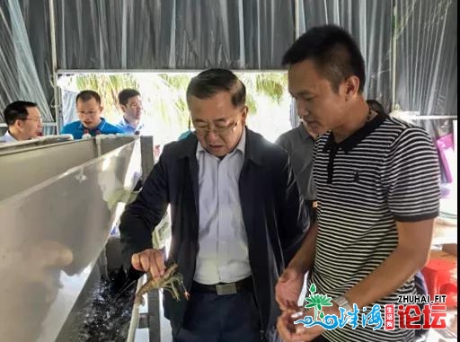 广东省农业乡村厅副厅少下庆营调研中山市澳洲浓火龙虾...