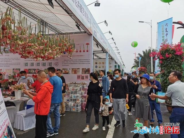 不只是产物 更是理念战形式的对接——中国（中山）花木...