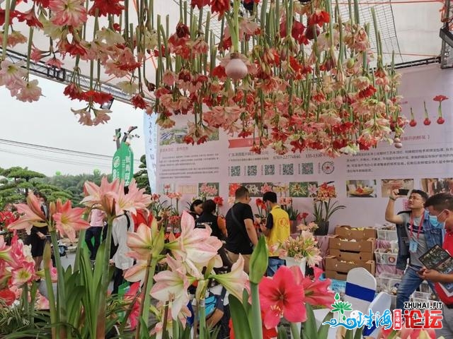 不只是产物 更是理念战形式的对接——中国（中山）花木...