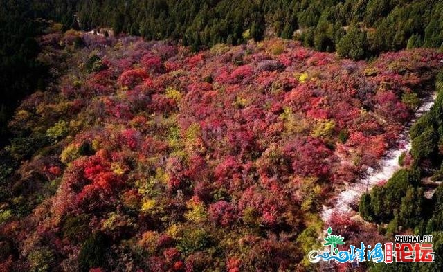 10月最初一天，千佛山半山白透，一年中最好时辰！