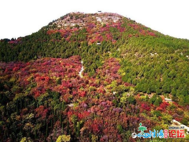 10月最初一天，千佛山半山白透，一年中最好时辰！