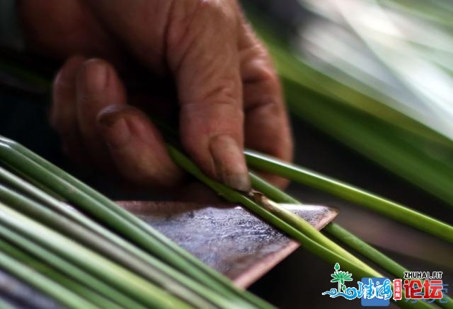 莞草：海上丝绸之路商业中的莞邑“瑰宝”