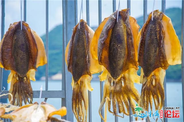 风味万山 | 周终海岛游，探访东澳岛里的好食天国！