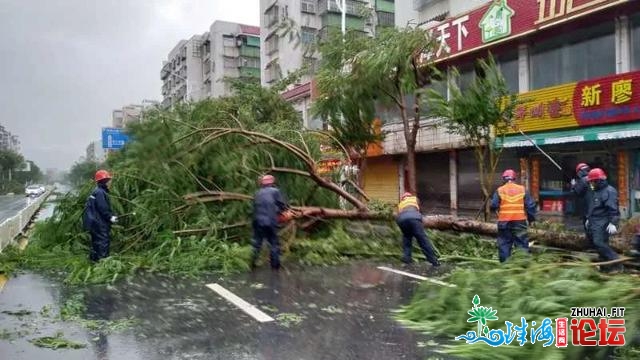 台风过境珠海，货车侧翻树木倒伏，7000多人进住斗门保护所