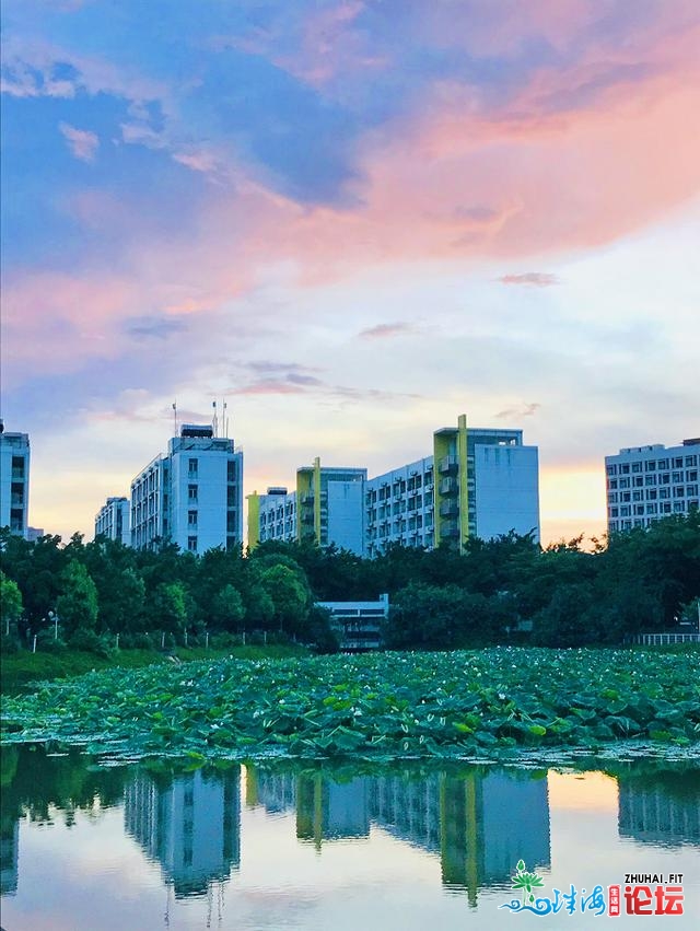 张张年夜片！珠海校园春景哪家好？快去pick您的母校！