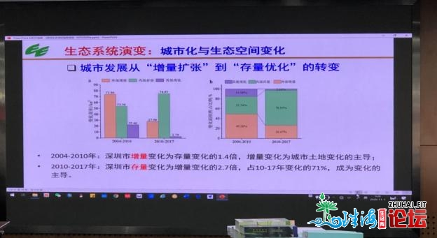 天下尾份！深圳交出都会陆域死态查询拜访评价陈述