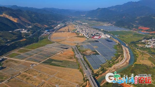 种出蔬菜销往粤港澳 换去养家的支出