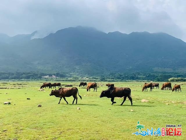 深圳、广州动身，最快1h抵达！广东那5个年夜草本，您来过...