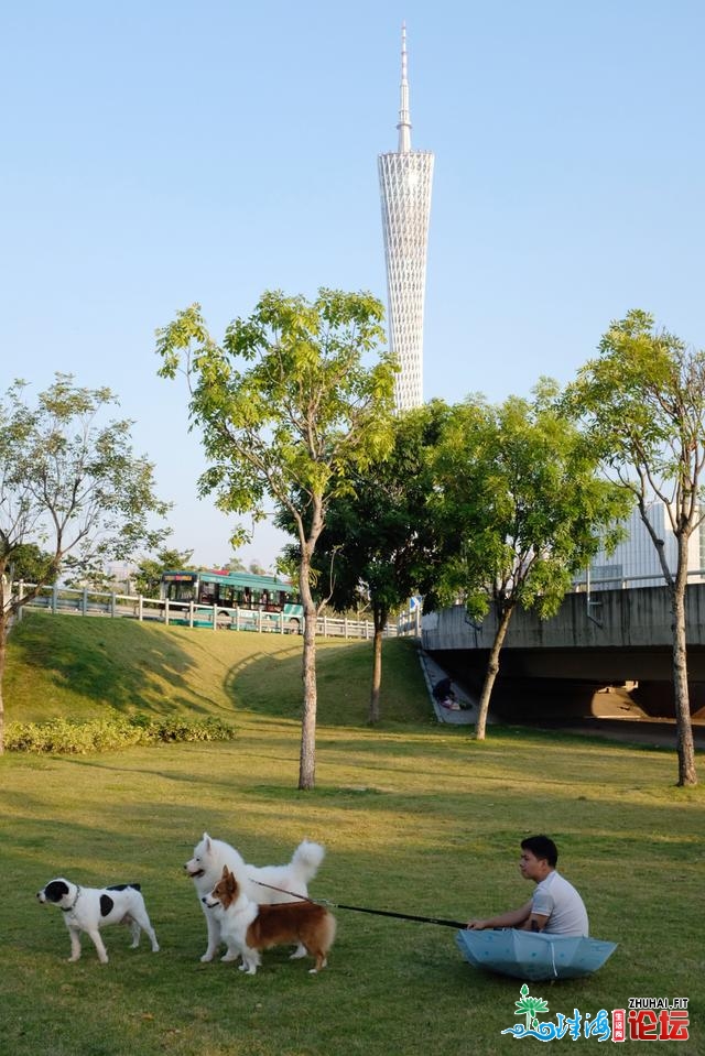 坐冬已至广州仍如夏季，市平易近防晒各出偶招