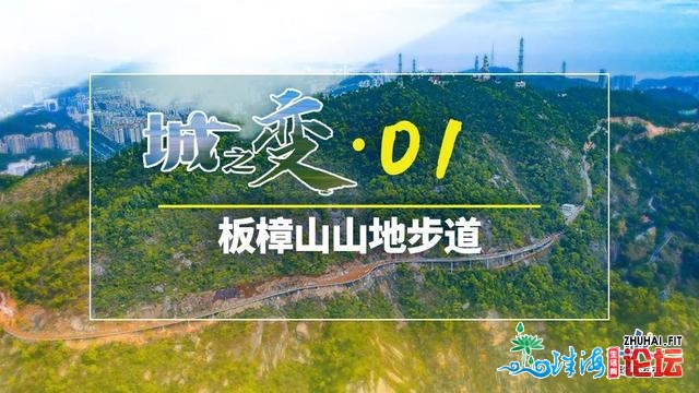 震动！板樟山上，起“天桥”！