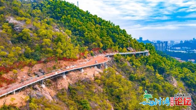 震动！板樟山上，起“天桥”！