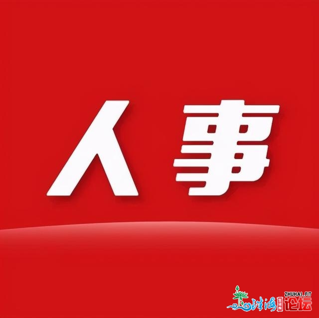 东莞下埗、黄江镇党委战东乡、北乡街讲处事处次要指导...