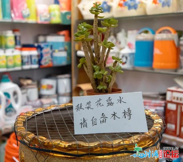 开店90年了！中山六那家老牌国货百货店，有没有数老广的童年回想-8.jpg