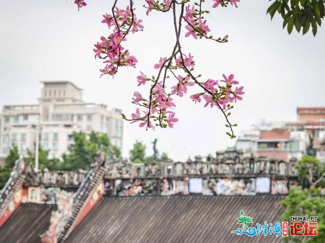 我正在广州，找到了秋日