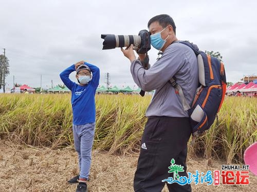 寻觅小康中山样本！天下各天拍照师散焦北朗稻田音乐节