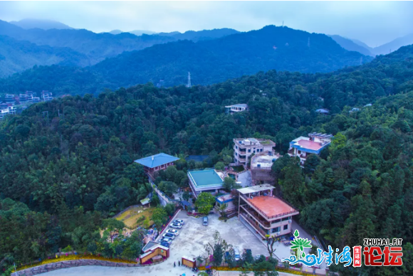 广东惠州:北昆山丛林公园内乱年夜牌网白旅店之一“翠兰谷度...