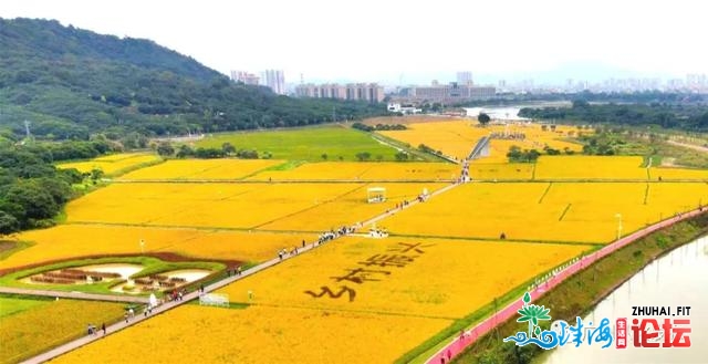 现场曲击！2020天下大众爬山健身年夜会（广州从化站）浩大...