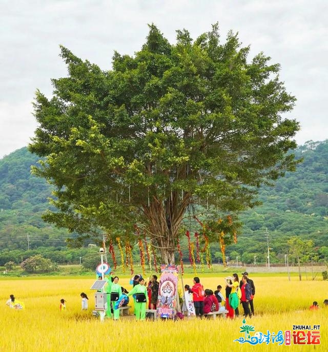 现场曲击！2020天下大众爬山健身年夜会（广州从化站）浩大...