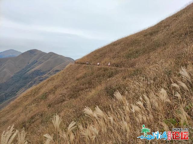 金春武功山徒步（两）