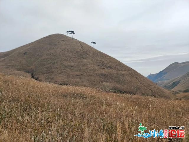 金春武功山徒步（两）