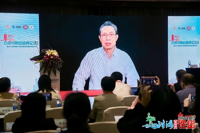 钟北山也“去了”！海内中年夜咖齐散深圳，热议肺血管徐...