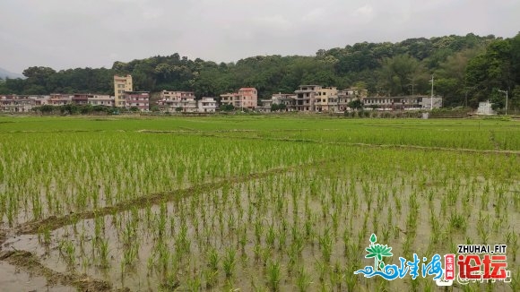 广东中山-湖北安城