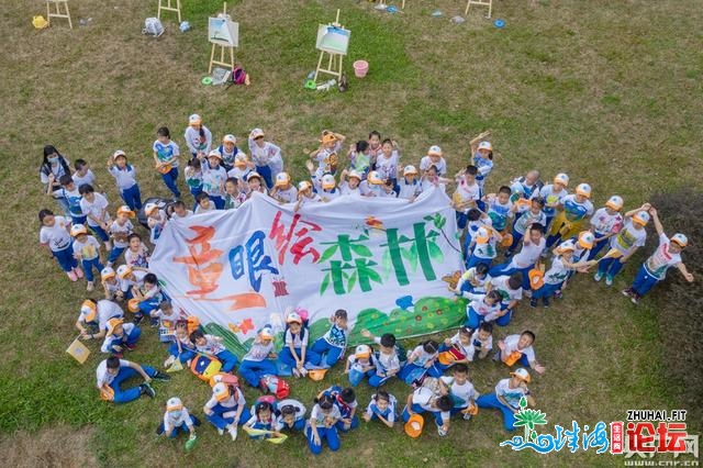 80论理学死展开童眼画丛林举动 广东齐省已展开远200场举动