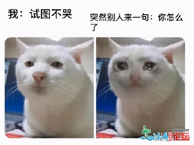 近来又变热了？莫慌！热氛围列队抵深，摆设上了！