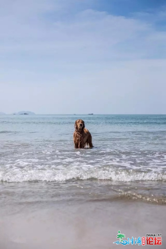 【万科单月湾】辱旅周终惠州两天游