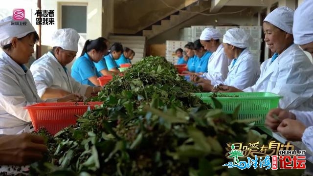 暖和正在身旁｜舌尖祸利！最麻最苦最爽，您喜好的滋味那...