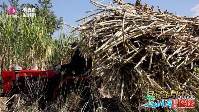 暖和正在身旁｜舌尖祸利！最麻最苦最爽，您喜好的滋味那...