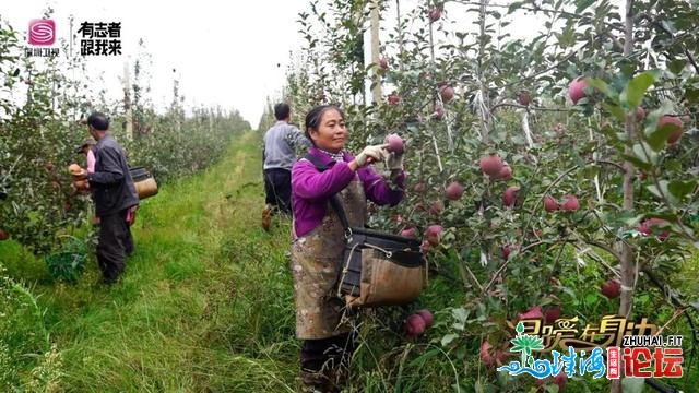 暖和正在身旁｜舌尖祸利！最麻最苦最爽，您喜好的滋味那...