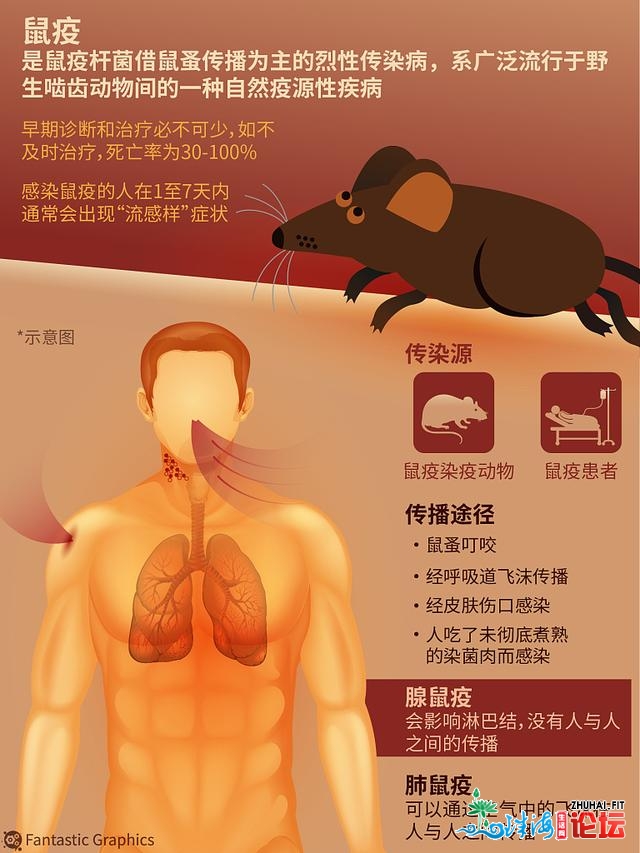 本年两次鼠疫：前次正在苦肃，悄无声气；此次正在北京，一...