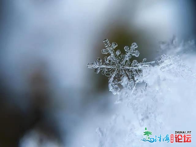 北方人对雪的固执！重庆北川金佛山北坡滑雪场本周终正...