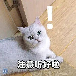 东莞人速看！来日诰日起，片面调解