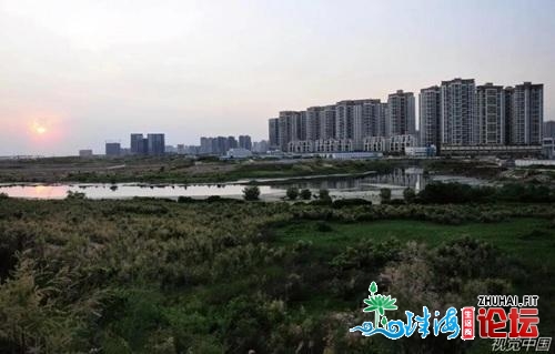 “史诗级”土拍离“史诗级”楼市有多近？深圳单日卖天34...