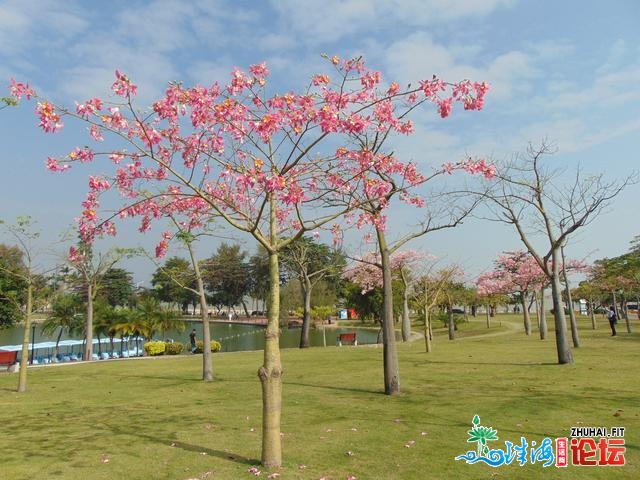 珠海海滨公园周边，光景漂亮氛围清爽，珠海旅游保举所在