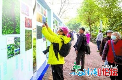 佛山影象节启动，本月尾前可前去不雅展