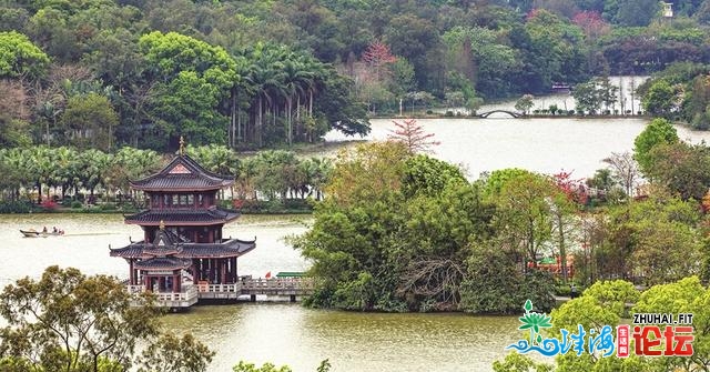 惠州市人年夜代表：“活化”空中公开空间 破解景区开展困难