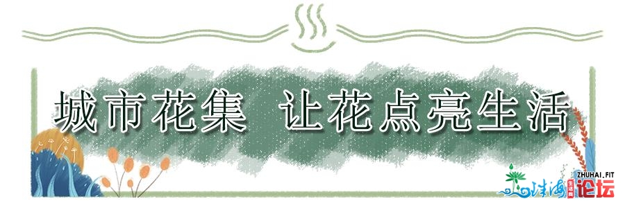 深圳莲花山那个年夜型花海浩大开放！免费免预定！错过等...