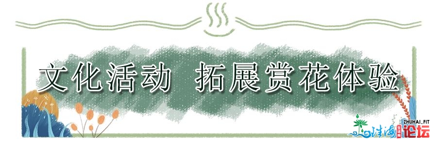 深圳莲花山那个年夜型花海浩大开放！免费免预定！错过等...