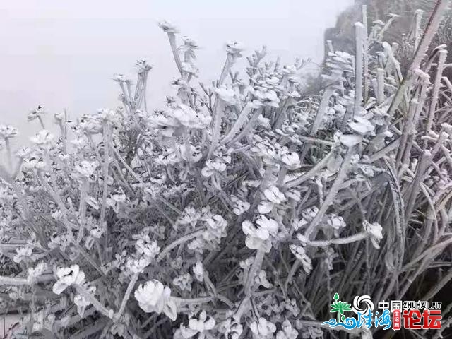 下雪了？没有敢信赖那里是广东！好哭了！最低4.4℃！将来...