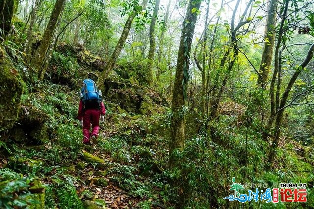 初探广东岩坑山，正在北风冻雨浓雾中一败涂地