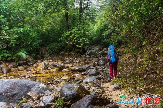 初探广东岩坑山，正在北风冻雨浓雾中一败涂地